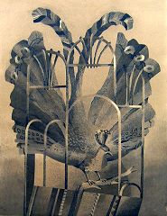 «Райская птица»
42х50 см, цв. офорт, акватинта